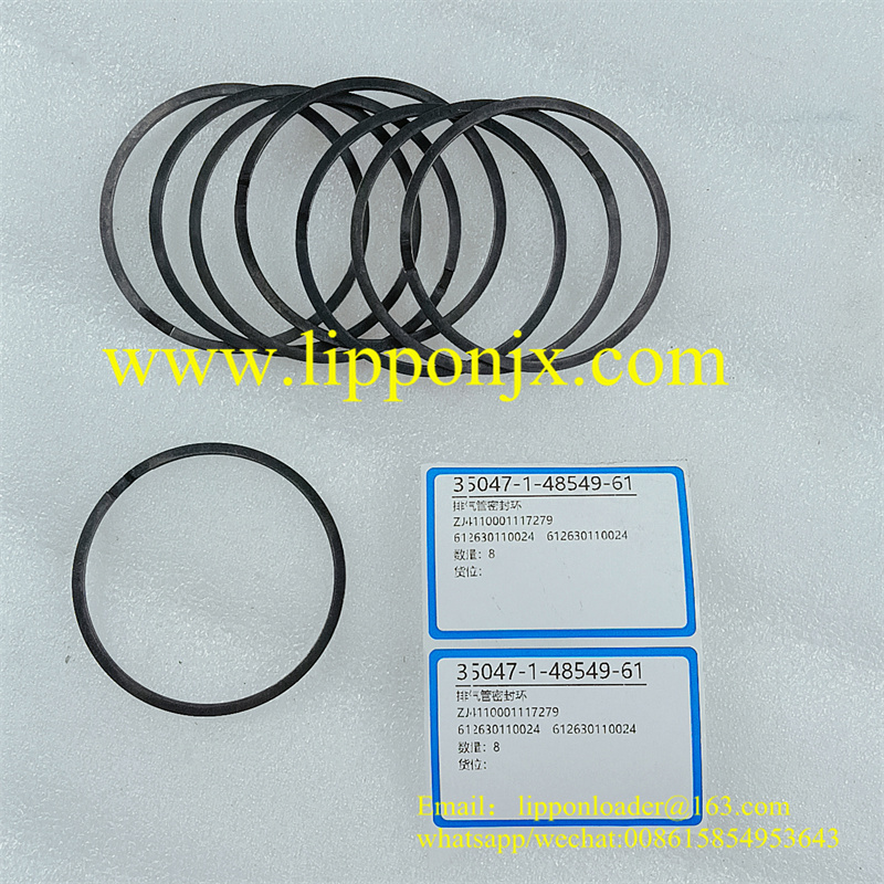 4110001117279 Seal Ring LGMG CMT96 Mining Truck Part